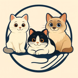 三毛運動恢復室 (新北市中和)